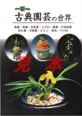 画像1: 古典園芸の世界／日本伝統園芸協会発行 (1)