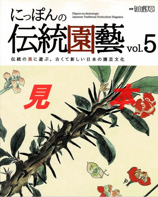 趣味の山野草